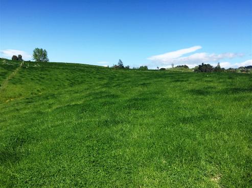 16D Tamumu Road, Waipawa
