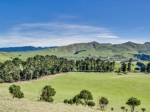 357 Mound Road, Amberley