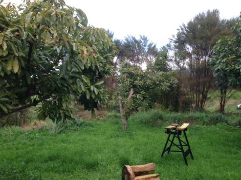 460 Ohui Road, Opoutere
