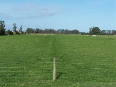 228 Steward Road, North Otago