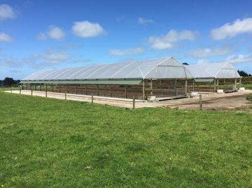 1936 Eltham Road, Manaia