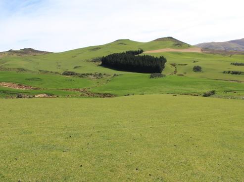 3683 Morrisons-kyeburn Road, Waihemo