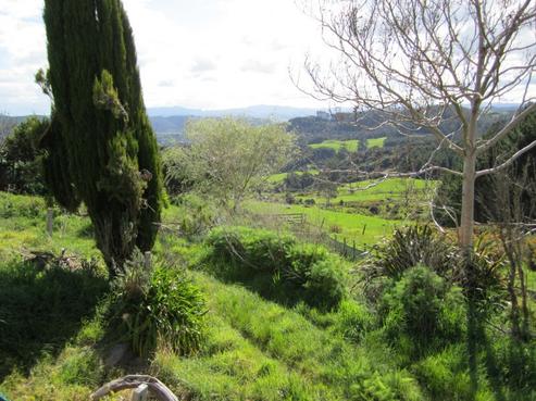 425A Boat Harbour Road, Whenuakite