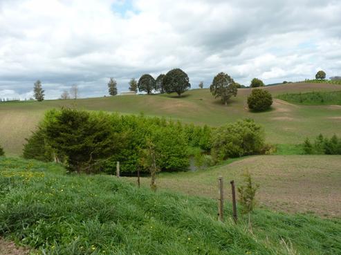 148 Dukeson Road, Putaruru