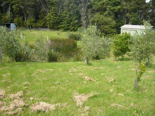 112 Sterling Road, Paparoa