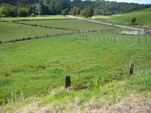 1940 Diggers Valley Road, Kaitaia