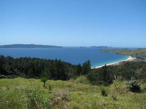 210 Black Jack Road, Kuaotunu