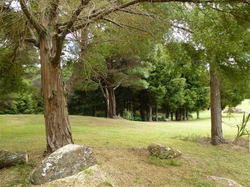 54 Landing Road, Kerikeri