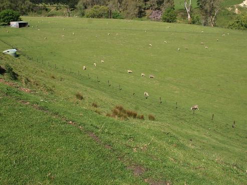 2277 Lake Road, Wairoa