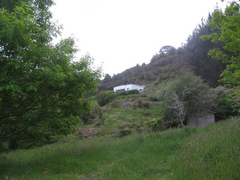 239B Waitawheta Road, Waikino