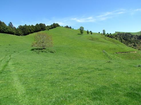 1904 Kururau Road, Taumarunui