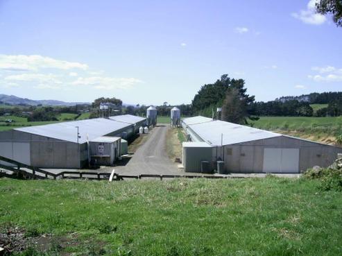 57 Smeed Road, Tuakau