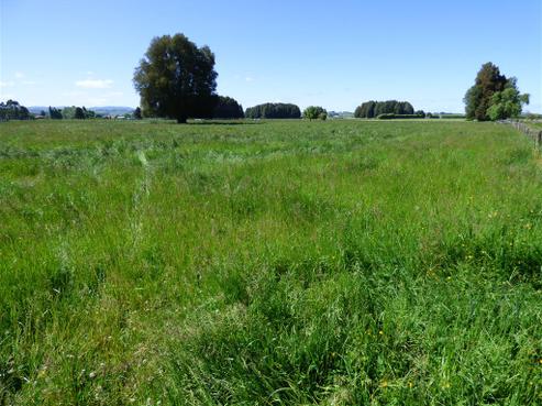 216 Mangawhero Road, Otorohanga