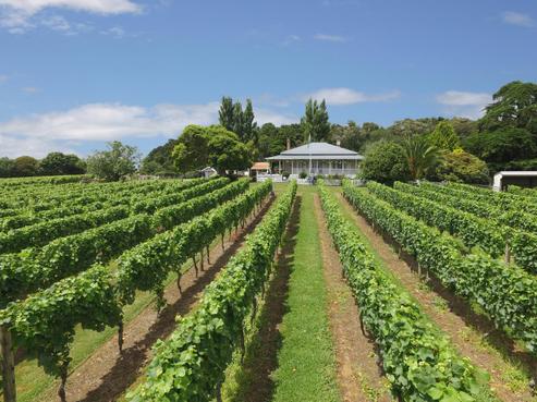 121 Insoll Road, Whangape
