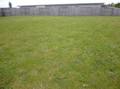 211 Cactus Court, Te Awamutu