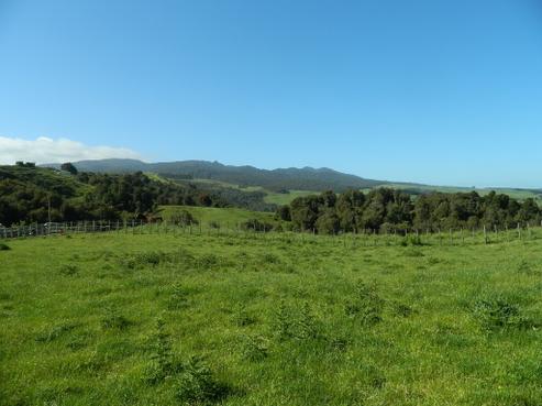 282A Pekanui Road, Pirongia