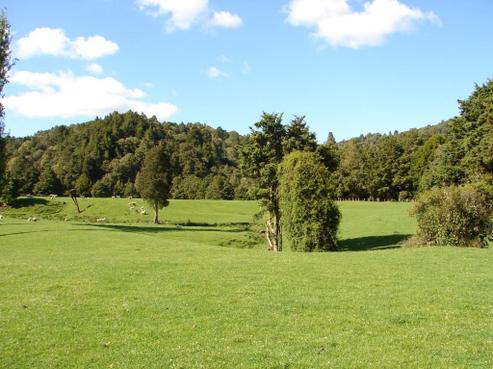 1040 River Road, Taumarunui