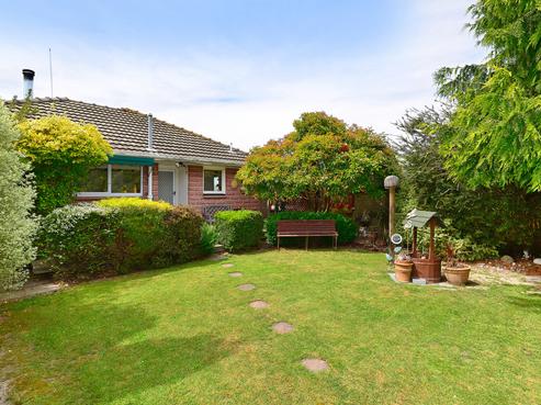19 Eglinton Street, Avondale