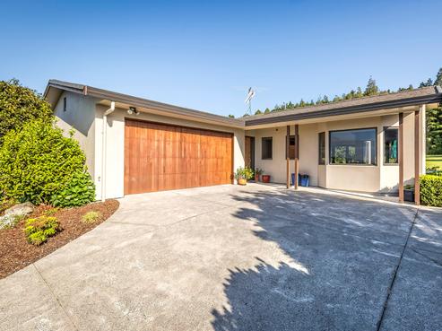 54 Carlton Road, Pukekohe