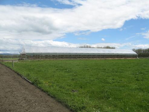 262 Riverbank Road, Balclutha