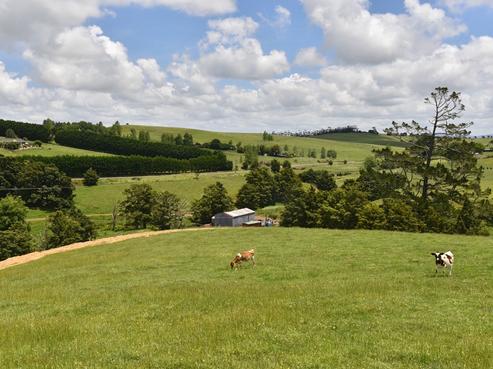 1006 Pipiwai Road, Ruatangata