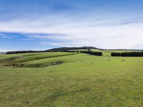 2681 Clarks Junction-lee Stream Road, East Otago