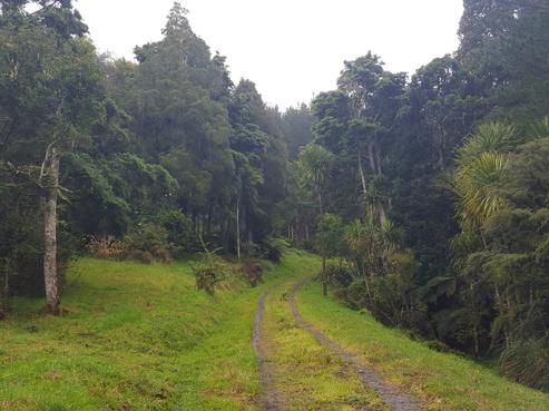 90 Mangamuka Road, Mangamuka