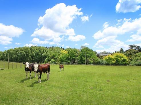 15B Stewart Road, Sanson