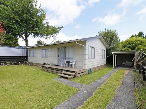 95A Nixon Street, Hamilton East
