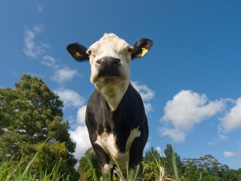 236 Glenmohr Road, Waipu