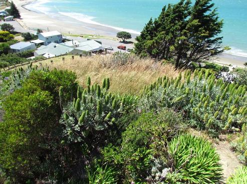52B Jetty Road, Castlepoint