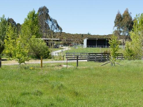 224 Wills Road, Upper Moutere