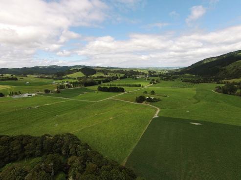 307 West Coast Road, Kaipara Flats