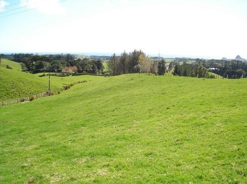 401 Barrett Road, Omata