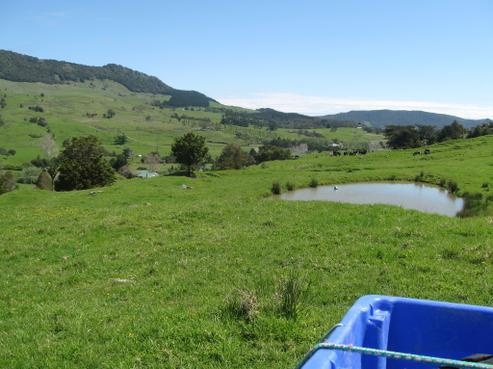 7242 State Highway 12, Omapere