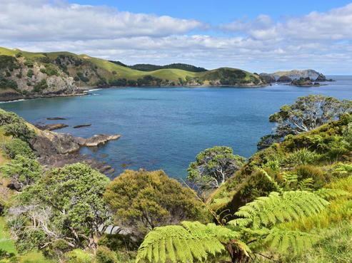 53 Mahinepua Road, Kaeo