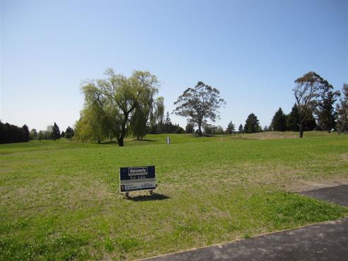 4 Dale Street, Kaiapoi