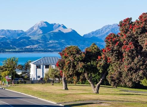 11 Churchill Street, Kaikoura