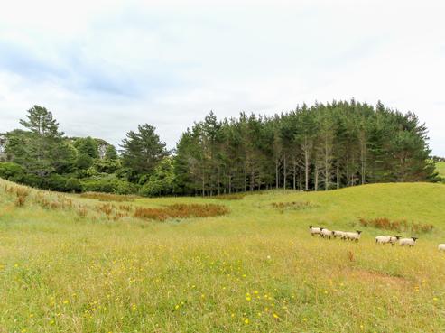 604 Frankley Road, Hurworth