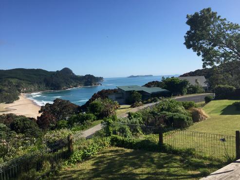 406 Onemana Drive, Onemana