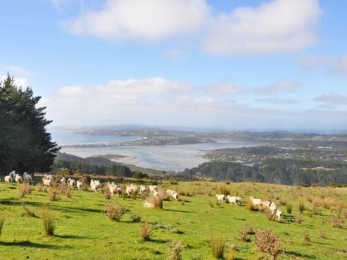 100 Birdsall Road, Whangateau