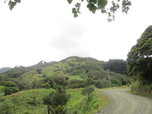 483 Waiotemarama Gorge Road, Omapere