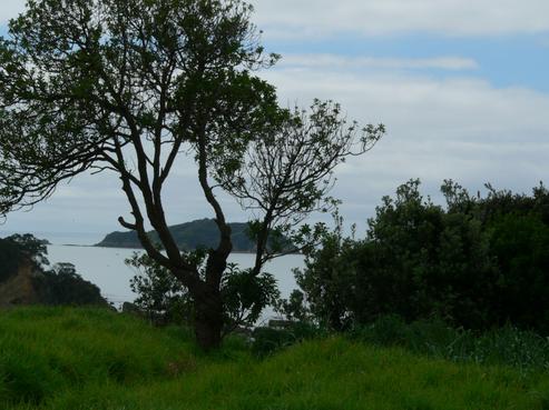 15 Marine Park Avenue, Rakino Island
