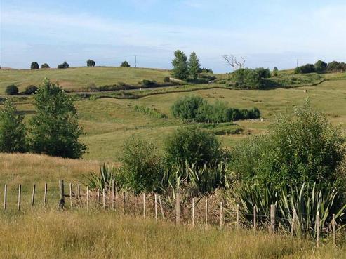 1542A State Highway 12, Paparoa