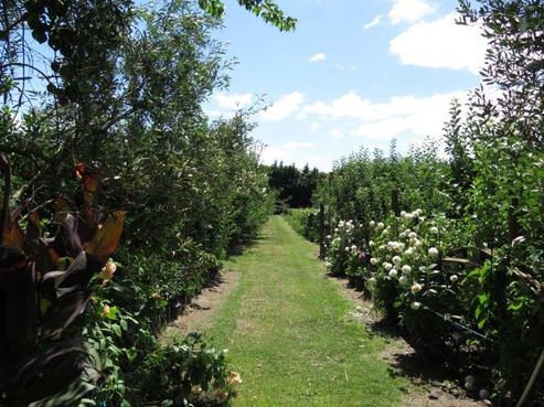 387 Te Aute Road, Havelock North