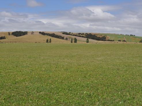 169 Foreman-Jury Road, Martinborough