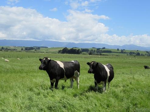 327 Okarae Road, Dannevirke