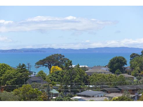 19 Holiday Road, Stanmore Bay