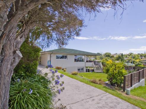 17 Castleton Drive, Howick
