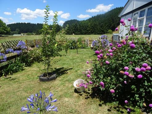 50 Omaka Road, Taumarunui